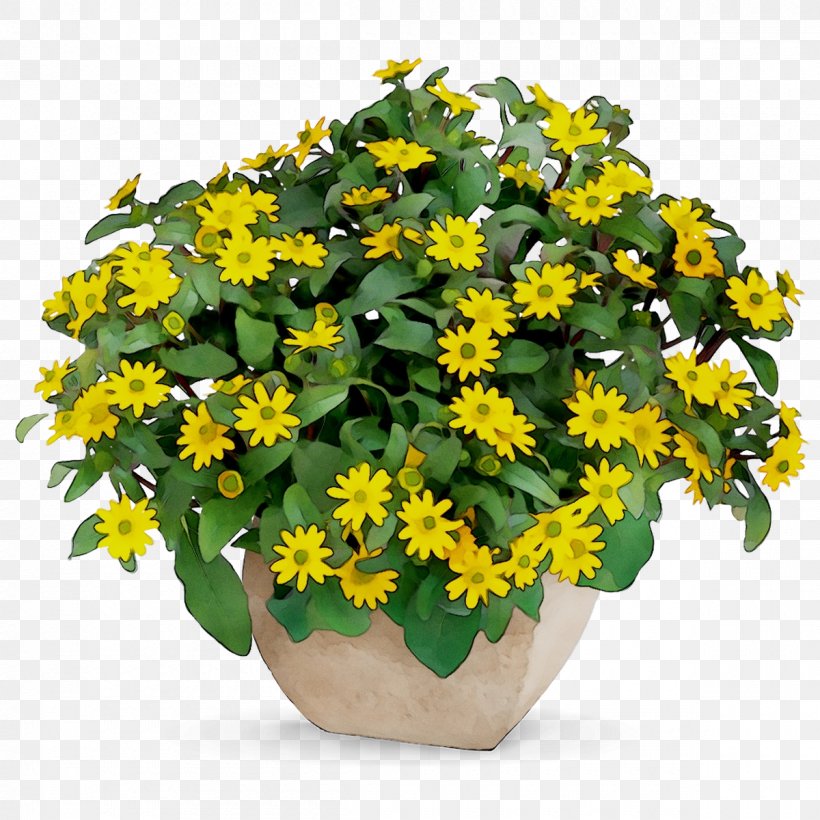Flowerpot Yellow Houseplant Annual Plant, PNG, 1200x1200px, Flower, Annual Plant, Cut Flowers, Flowering Plant, Flowerpot Download Free