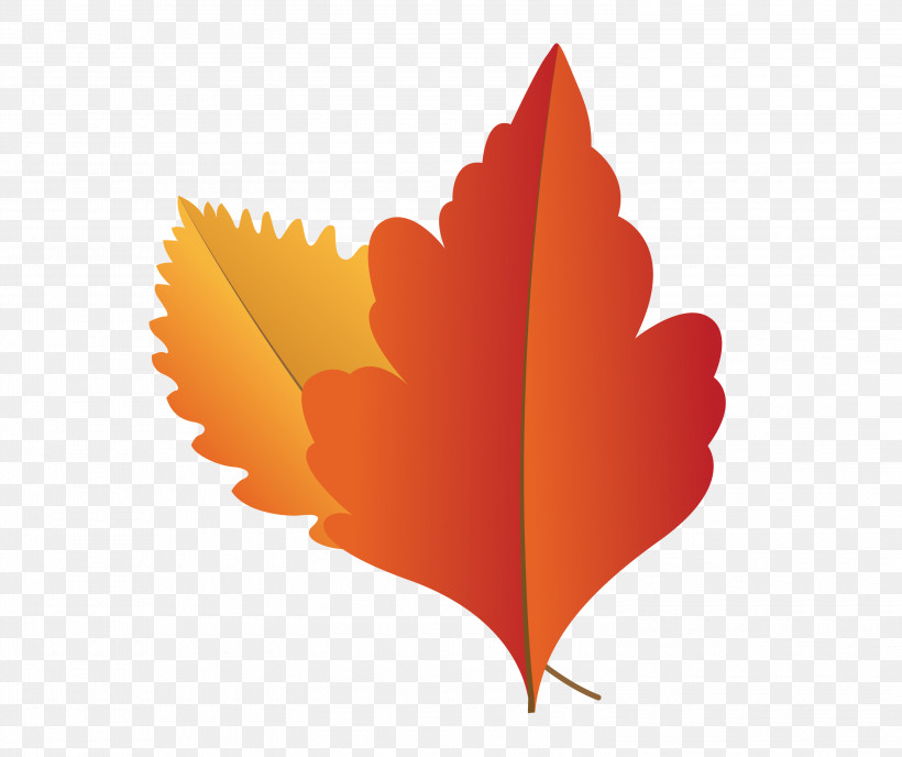 Maple Leaf, PNG, 3000x2518px, Autumn Leaf, Biology, Cartoon Leaf, Computer, Fall Leaf Download Free