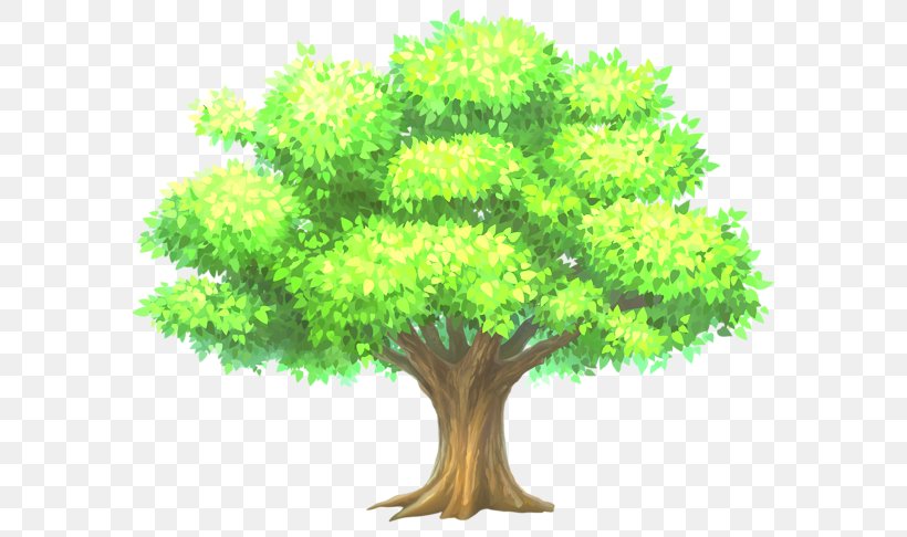 Vector Graphics Tree Clip Art Illustration Drawing, PNG, 600x486px, Tree, Branch, Cartoon, Drawing, Flowerpot Download Free