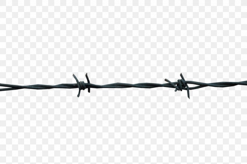 Black And White Barbed Wire Design, PNG, 1024x681px, Barbed Wire, Black, Black And White, Fence, Hardware Accessory Download Free