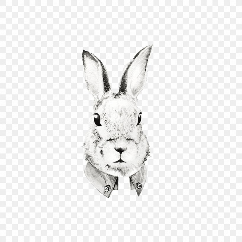 Domestic Rabbit Watercolor Painting Portrait Drawing Illustration, PNG ...