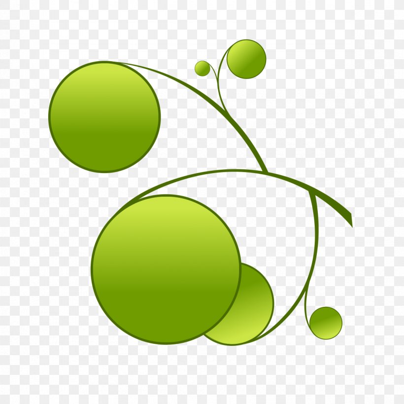 Green Circle, PNG, 1181x1181px, Green, Color, Computer Software, Food, Fruit Download Free