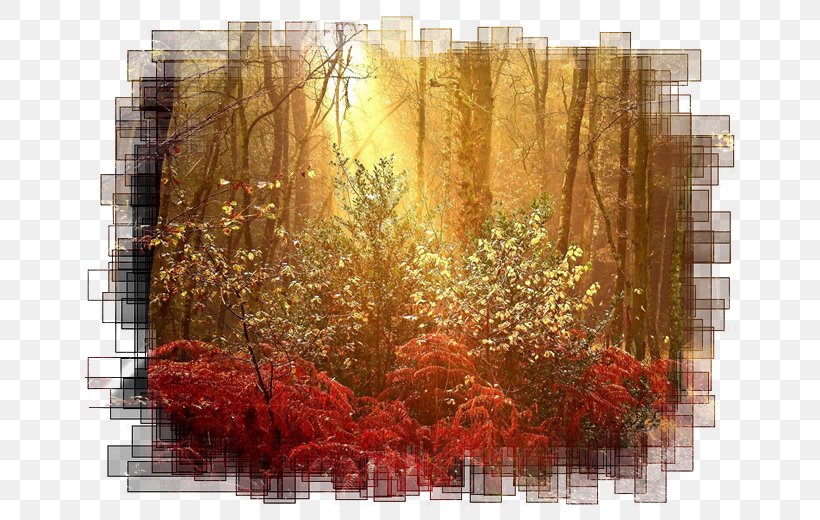 Painting Acrylic Paint Wall Acrylic Resin, PNG, 650x520px, Painting, Acrylic Paint, Acrylic Resin, Autumn, Flora Download Free