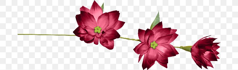 Ribbon Lazo Flower, PNG, 700x241px, Ribbon, Amaryllis Family, Askartelu, Button, Cut Flowers Download Free