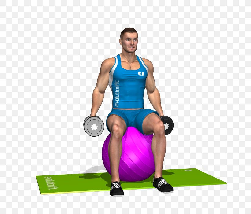 Shoulder Medicine Balls Exercise Balls Deltoid Muscle, PNG, 700x700px, Watercolor, Cartoon, Flower, Frame, Heart Download Free