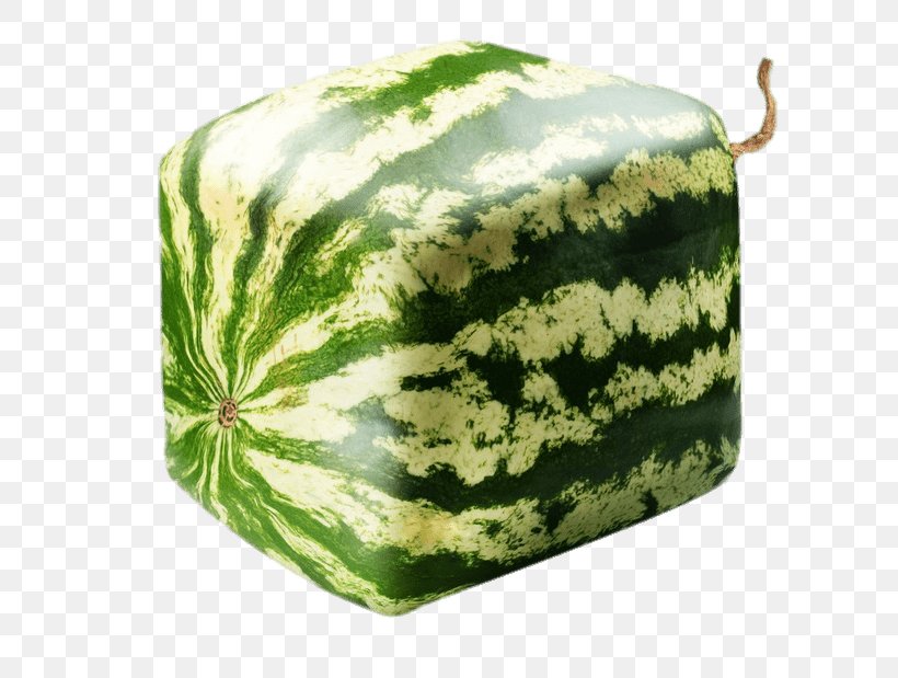 Square Watermelon Seed Geometry, PNG, 650x619px, Watermelon, Citrullus, Cube, Cucumber Gourd And Melon Family, Cucurbita Download Free