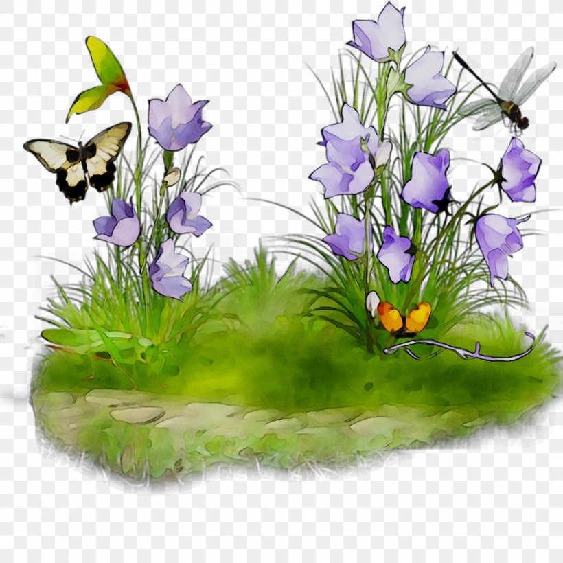 Floral Design Insect Crocus Membrane, PNG, 1016x1016px, Floral Design, Aquarium Decor, Artificial Flower, Bellflower, Bellflower Family Download Free