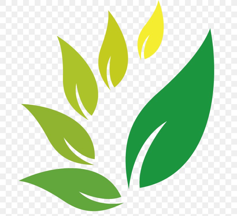 Herb Jamu Logo Indian Jujube, PNG, 719x747px, Herb, Brand, Drinking, Grass, Green Download Free