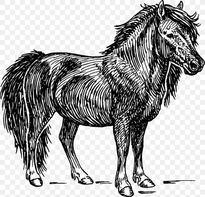 Shetland Pony American Miniature Horse Clip Art Vector Graphics, PNG, 1280x1232px, Pony, American Miniature Horse, Black And White, Dog Like Mammal, Donkey Download Free