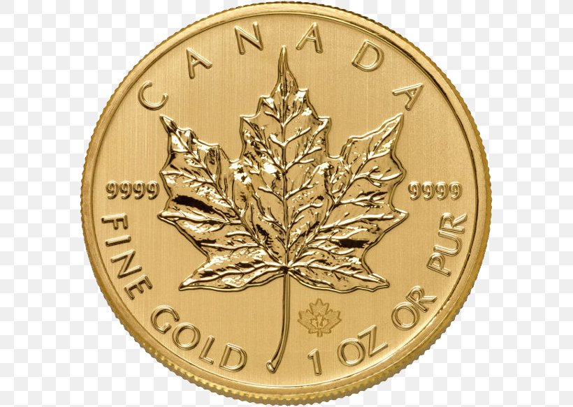 Canada Canadian Gold Maple Leaf Gold Coin, PNG, 591x583px, Canada, Bullion, Bullion Coin, Canadian Dollar, Canadian Gold Maple Leaf Download Free
