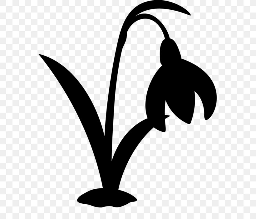Clip Art Flower Plant Stem Leaf Silhouette, PNG, 573x700px, Flower, Beak, Blackandwhite, Coloring Book, Flowering Plant Download Free