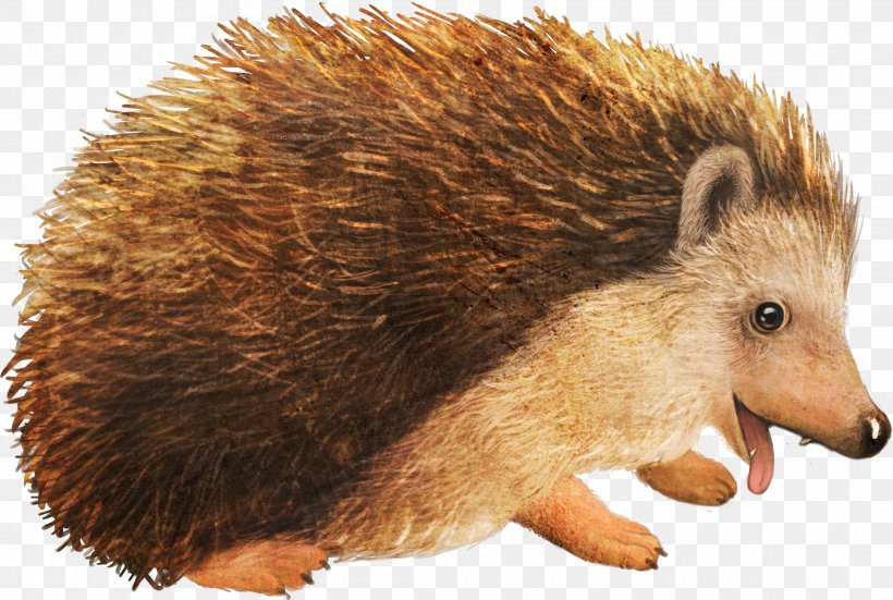 Hedgehog Cartoon, PNG, 3395x2284px, Hedgehog, Animal, Art, Cartoon, Cuteness Download Free