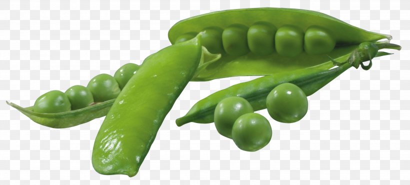 Vegetable Pea Clip Art, PNG, 3835x1731px, Pea, Bell Pepper, Broccoli, Carrot, Food Download Free