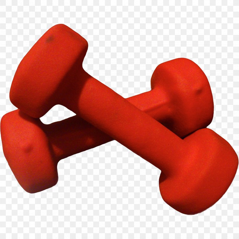 Weight Training Dumbbell Hand Physical Strength Physical Exercise, PNG, 3307x3307px, Weight Training, Adipose Tissue, Bodybuilding, Dumbbell, Endurance Download Free