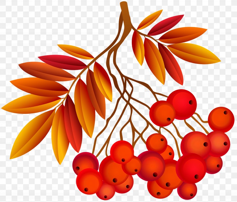 Autumn Southern Hemisphere Northern Hemisphere Season September Equinox, PNG, 8000x6850px, Autumn, Animation, Art, Deviantart, Flower Download Free