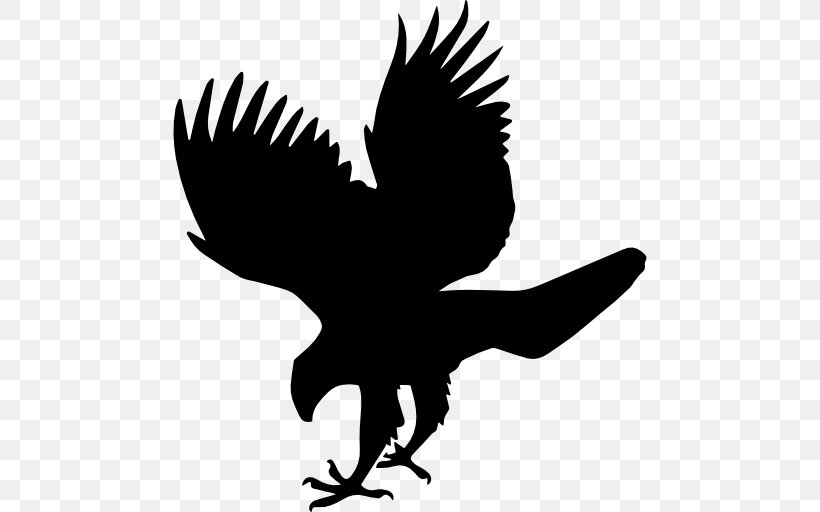 Bird Red-tailed Hawk, PNG, 512x512px, Bird, Accipitridae, Beak, Bird Of Prey, Black And White Download Free