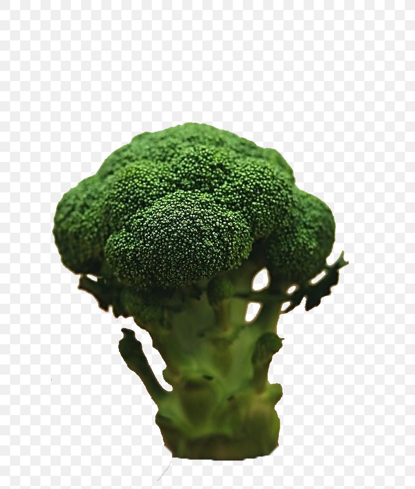 Broccoli Vegetable Food Diet Stock Photography, PNG, 768x966px, Broccoli, Cauliflower, Chinese Cabbage, Cooking, Dicing Download Free