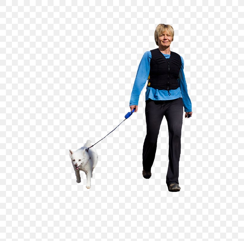 Dog Walking Leash Pet Dog Collar, PNG, 667x808px, Dog, Collar, Dog Collar, Dog Training, Dog Walking Download Free