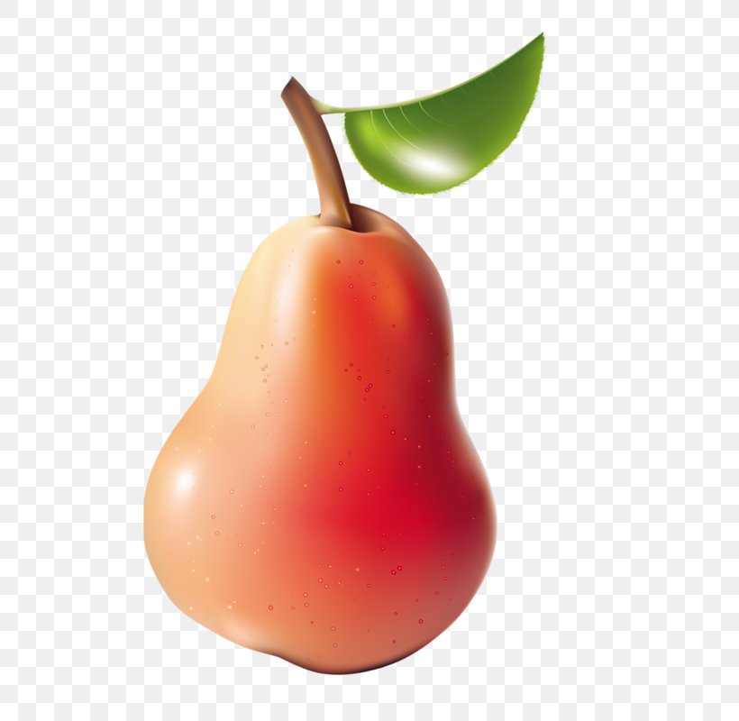Pear Clip Art Fruit Photography Food, PNG, 628x800px, Pear, Accessory Fruit, Apple, Bell Peppers And Chili Peppers, Food Download Free