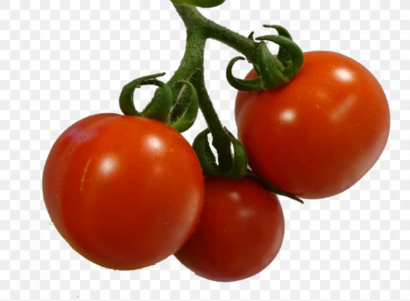 Plum Tomato Bush Tomato Vegetarian Cuisine Food, PNG, 1200x881px, Plum Tomato, Bush Tomato, Diet, Diet Food, Food Download Free