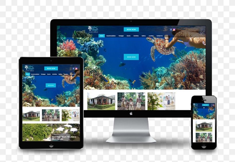 Web Design Web Developer Internet, PNG, 800x565px, Web Design, Aquarium, Computer Monitor, Display Device, Ecosystem Download Free