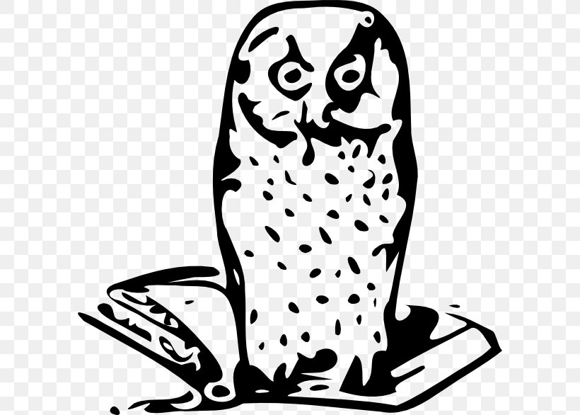 Owl Clip Art, PNG, 600x586px, Owl, Artwork, Beak, Bird, Bird Of Prey Download Free