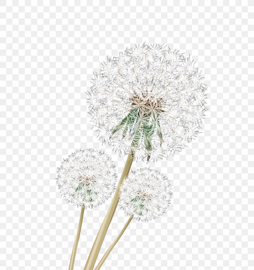 Dandelion Download Google Images, PNG, 1942x2067px, Dandelion, Cartoon, Cut Flowers, Flora, Floral Design Download Free