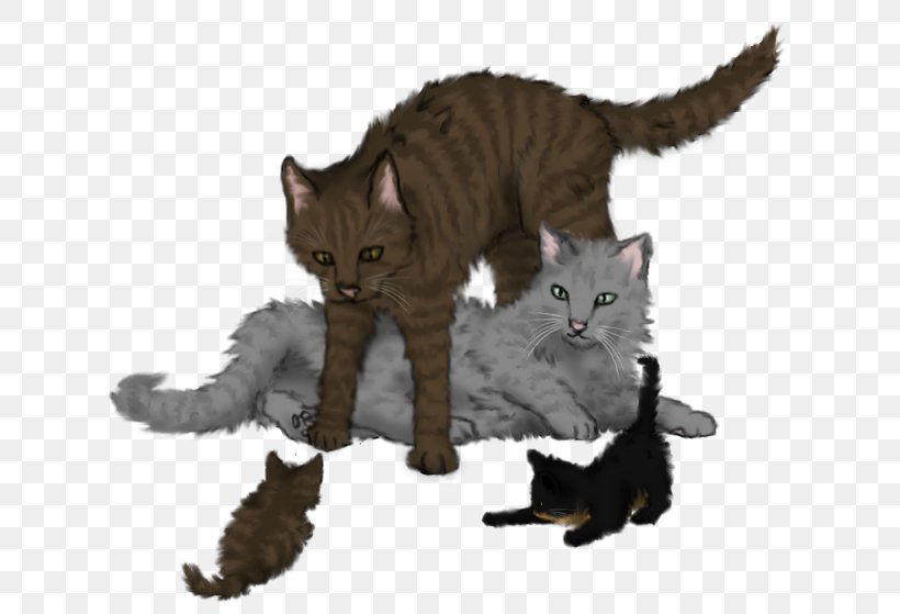 Kitten Cat Warriors Ferncloud Dustpelt, PNG, 650x559px, Kitten, Brambleclaw, Carnivoran, Cat, Cat Like Mammal Download Free