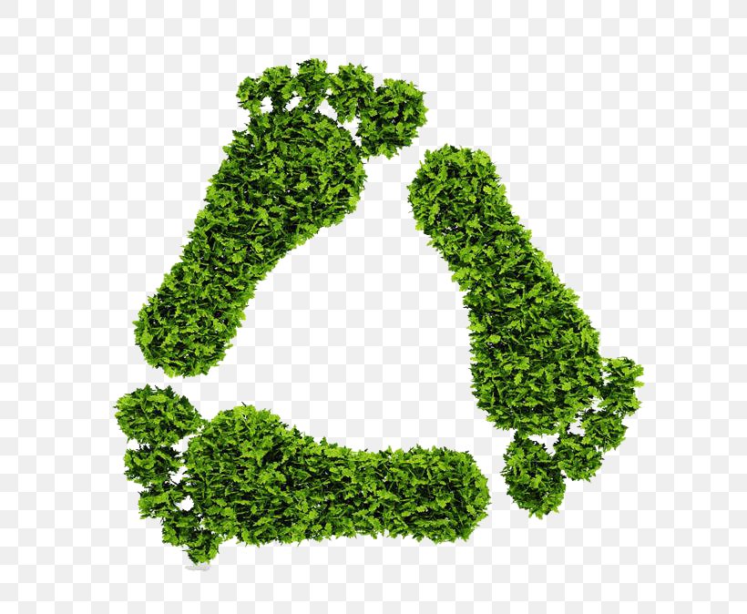 Recycling Symbol Ecological Footprint Ecology Environmentally Friendly, PNG, 745x674px, Recycling Symbol, Carbon Footprint, Concept, Ecological Footprint, Ecology Download Free