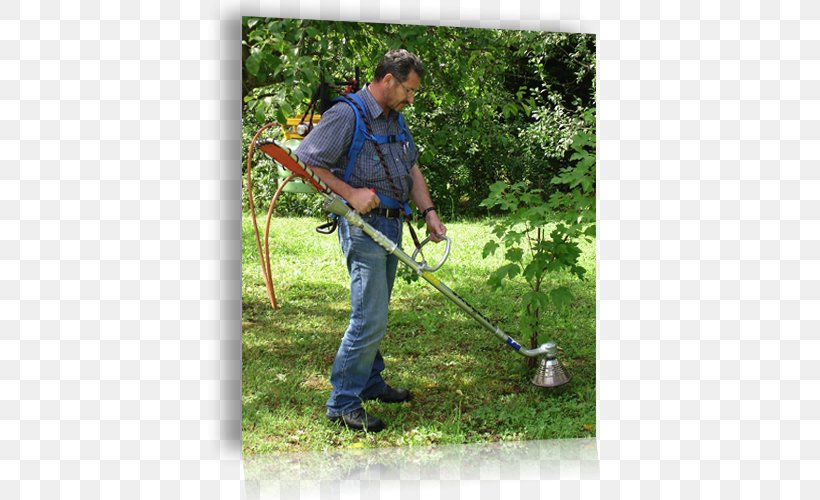String Trimmer Edger Lawn Mowers Tree, PNG, 565x500px, String Trimmer, Edger, Grass, Lawn, Lawn Mowers Download Free