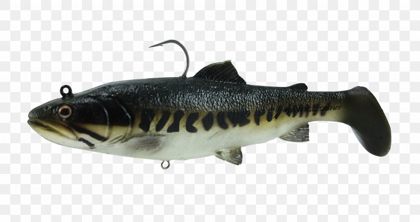 Swimbait Rainbow Trout Fishing Baits & Lures, PNG, 3600x1908px, Swimbait, Bass, Bass Fishing, Bony Fish, Cod Download Free