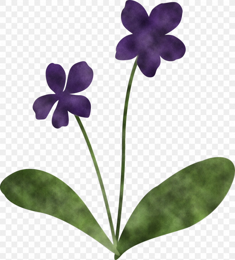Violet Flower, PNG, 2721x3000px, Violet Flower, Biology, Flower, Grasses, Herbaceous Plant Download Free
