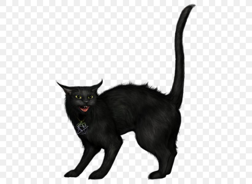 Bombay Cat Clip Art Black Cat Image, PNG, 498x600px, Bombay Cat, Asian, Black Cat, Bombay, Carnivoran Download Free