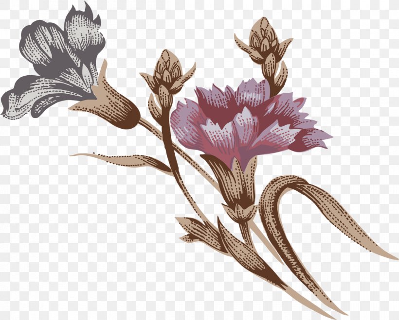 Carnation Flower Drawing, PNG, 1200x965px, Carnation, Cut Flowers, Drawing, Engraving, Flora Download Free