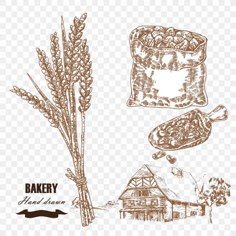 Wheat Drawing Cereal Illustration, PNG, 1000x1000px, Wheat, Agriculture, Barley, Body Jewelry, Cereal Download Free