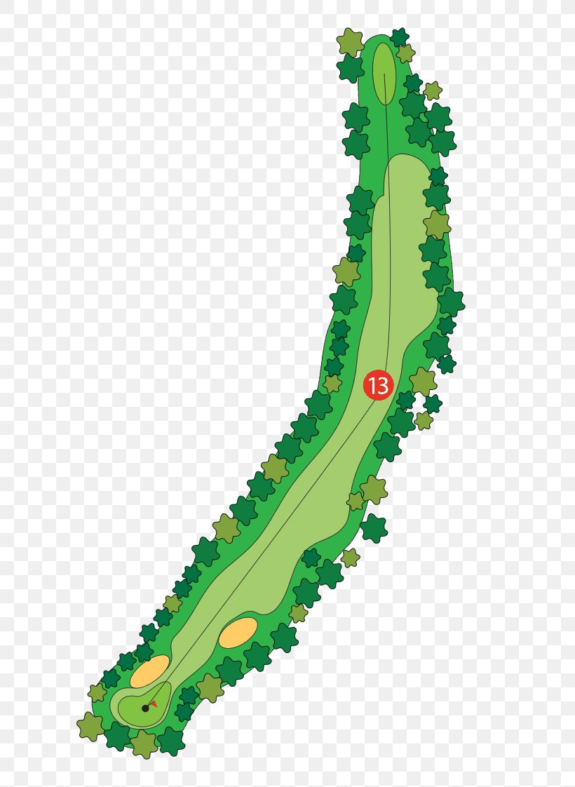 Golf Course Golf Tees Wood Par, PNG, 732x1122px, Golf Course, Average, Freeway Golf Course, Golf, Golf Clubs Download Free