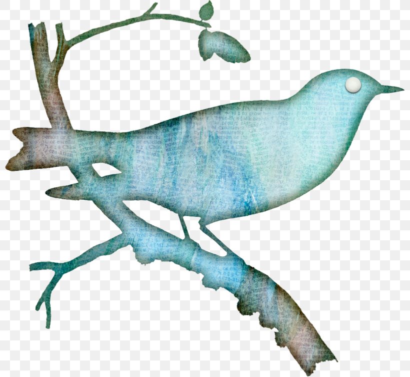 Mountain Bluebird Beak Illustration, PNG, 800x753px, Bird, Art, Beak, Bluebird, Botanical Illustration Download Free