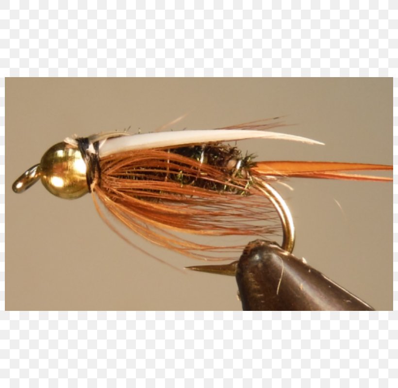 Spoon Lure Insect Spinnerbait, PNG, 800x800px, Spoon Lure, Fishing Bait, Fishing Lure, Insect, Spinnerbait Download Free