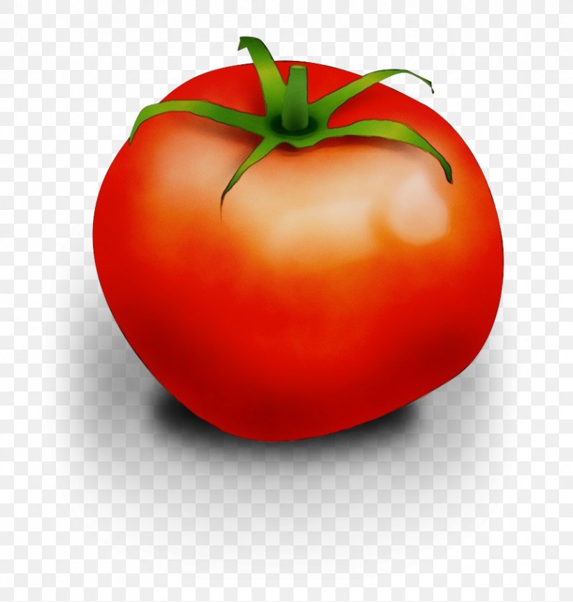 Tomato Cartoon, PNG, 857x900px, Watercolor, Apple, Bush Tomato, Cherry Tomatoes, Diet Download Free