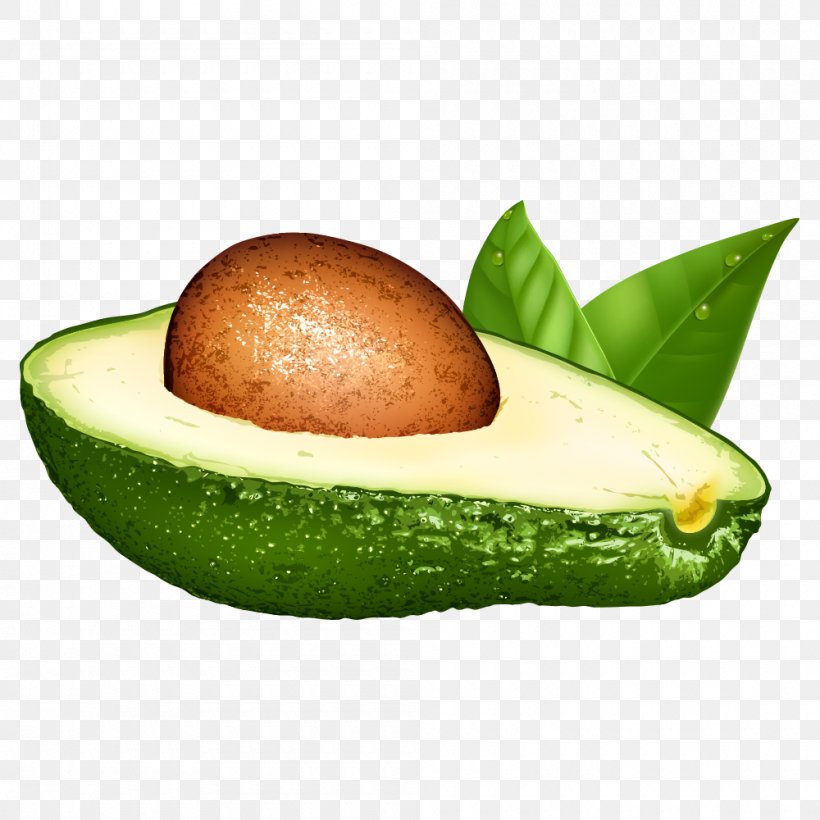 Avocado Euclidean Vector Illustration, PNG, 1000x1000px, Avocado, Can Stock Photo, Drawing, Food, Fruit Download Free