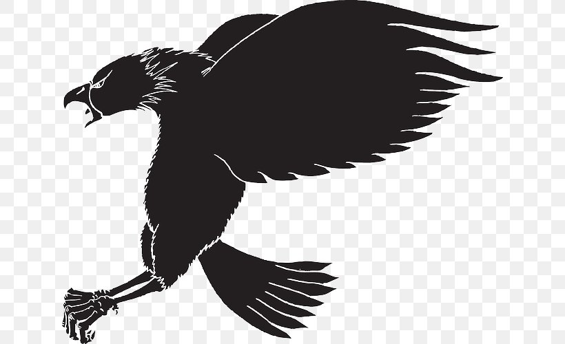 Bird Bald Eagle Clip Art, PNG, 640x500px, Bird, Art, Bald Eagle, Beak, Bird Of Prey Download Free