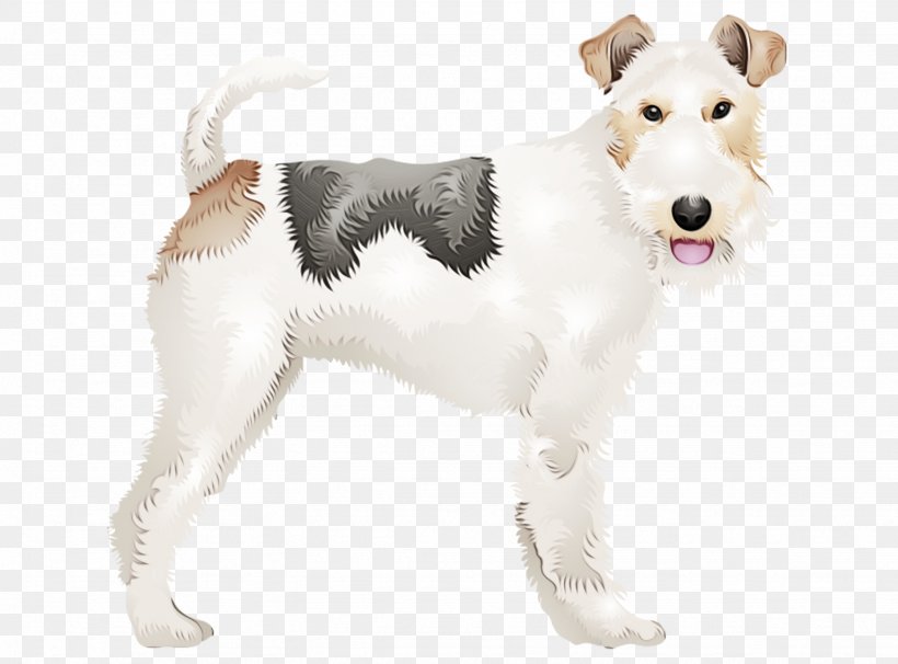 Dog Dog Breed Wire Hair Fox Terrier Companion Dog Terrier, PNG, 1538x1137px, Watercolor, Companion Dog, Dog, Dog Breed, Fox Terrier Download Free