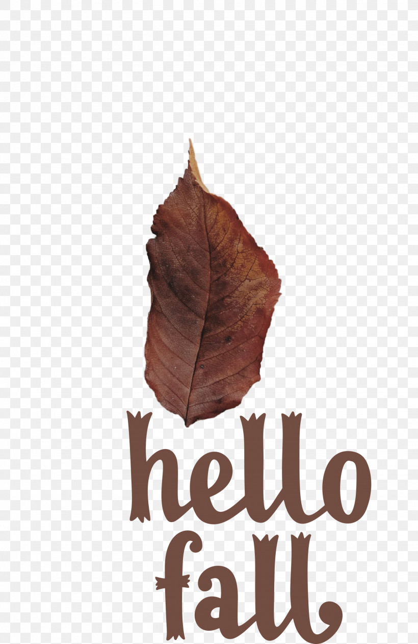Hello Fall Fall Autumn, PNG, 1949x3000px, Hello Fall, Autumn, Biology, Fall, Leaf Download Free