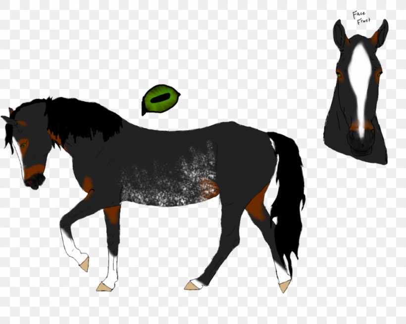 Mane Mustang Stallion Foal Colt, PNG, 999x799px, Mane, Animal Figure, Bridle, Colt, Foal Download Free