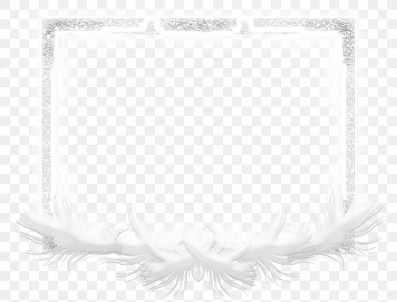 White Feather Picture Frames Rectangle, PNG, 1000x761px, White, Black And White, Feather, Monochrome, Monochrome Photography Download Free