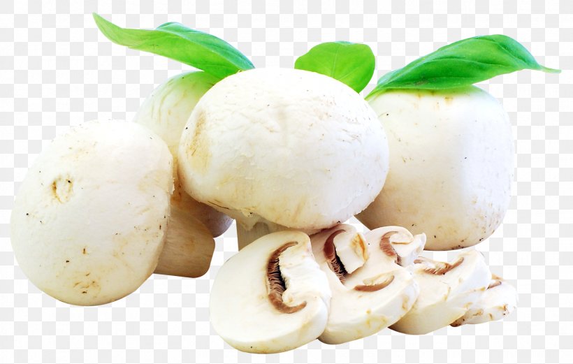 Ingredient Recipe Mushroom Food Vegetable, PNG, 1546x984px, Ingredient, Al Forno, Bacalhau, Butter, Common Mushroom Download Free