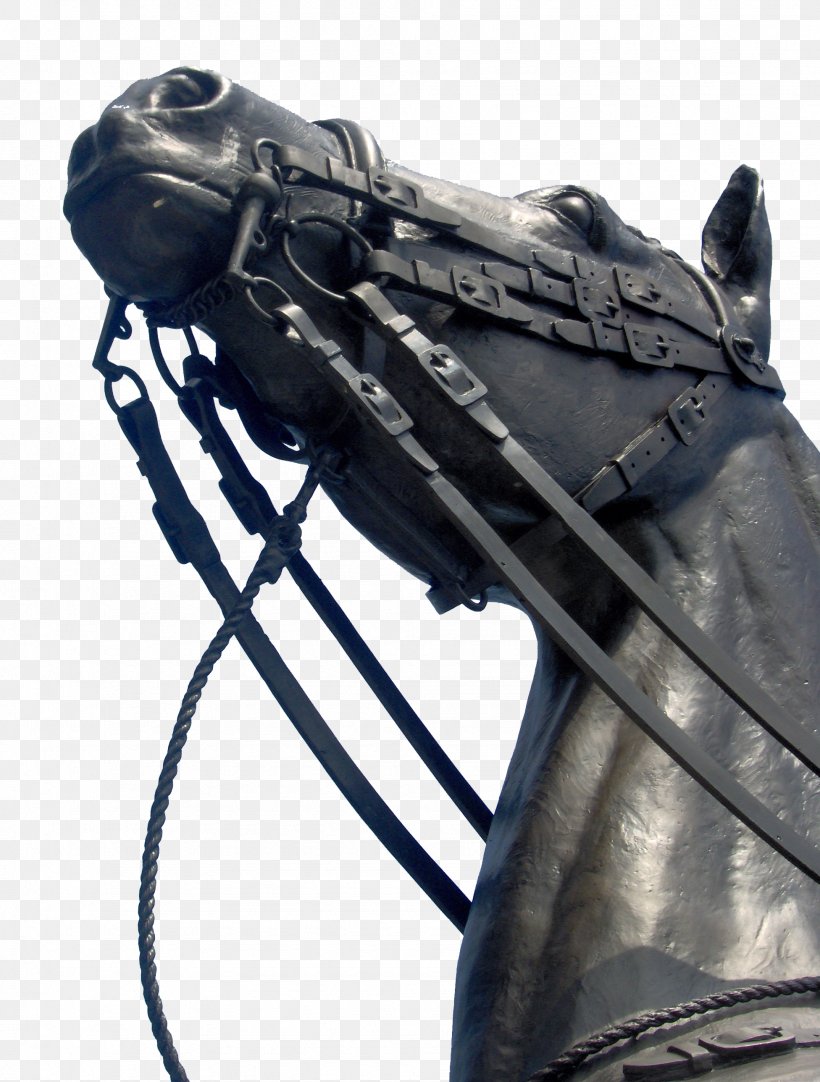 Parliament Hill Horse Ottawa Statue, PNG, 1952x2576px, Parliament Hill, Bicycle Saddle, Canada, Google Images, Horse Download Free