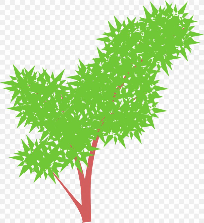 Tree Shrub Green Clip Art, PNG, 1168x1280px, Tree, Branch, Color, Drawing, Flora Download Free