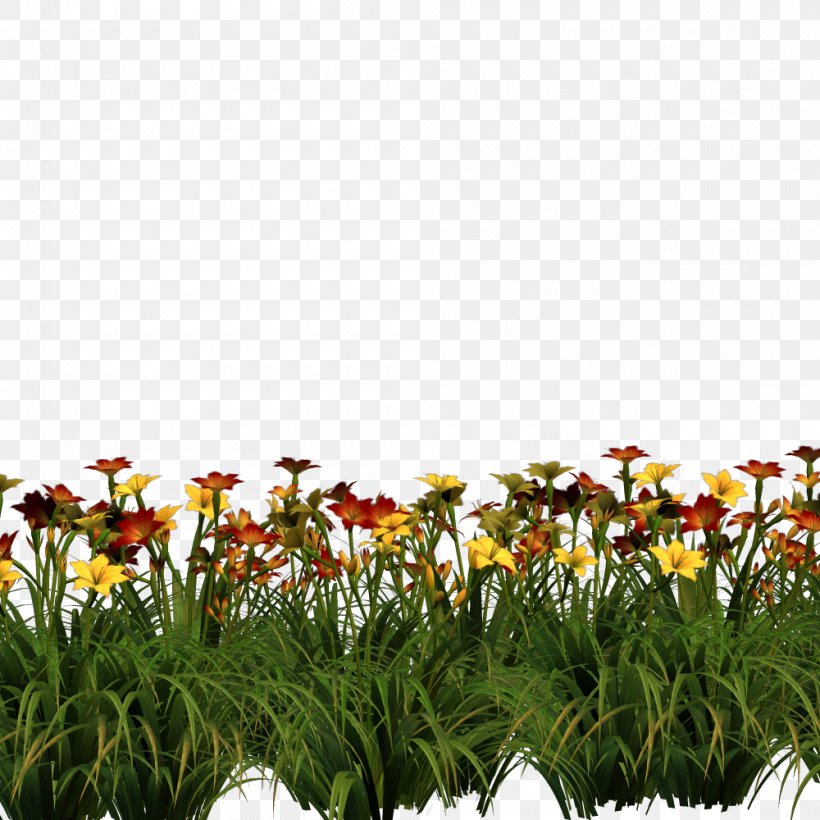 Flower Desktop Wallpaper Clip Art, PNG, 1000x1000px, Flower, Digital Image, Display Resolution, Field, Flowering Plant Download Free