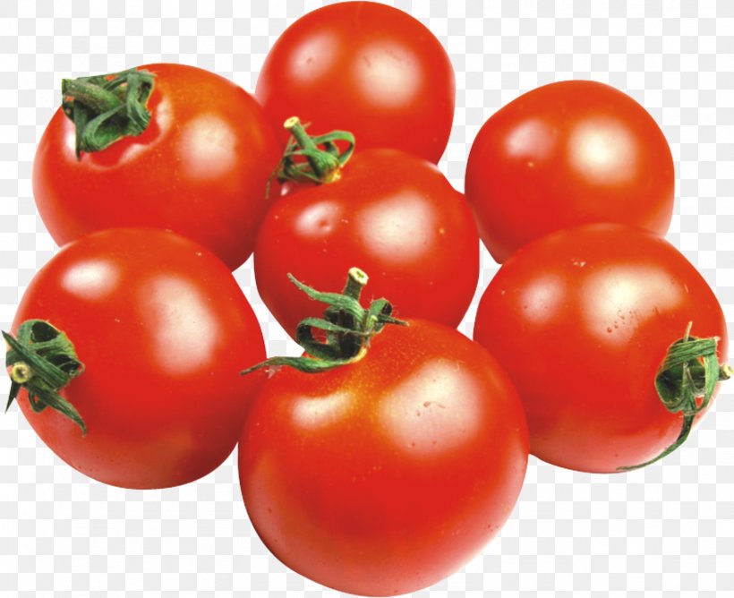 Tomato Juice Cherry Tomato Tomato Soup Fruit, PNG, 1573x1282px, Juice, Bush Tomato, Canned Tomato, Cherry, Cherry Tomato Download Free